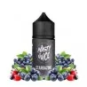 Nasty Juice Prefilled Stargazing NicSalt Vape E-liquid - 20mg, 60ml