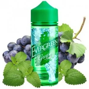 Evergreen - Grape Mint Prefilled 6mg 60/40 120ml
