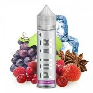 Polar Frozen Berries (Prefilled) 60ml 20mg NicSalt Nicotine 50/50 e-liquid
