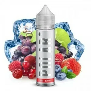 Polar Minty Berries (Prefilled) 60ml 20mg NicSalt Nicotine 50/50 e-liquid