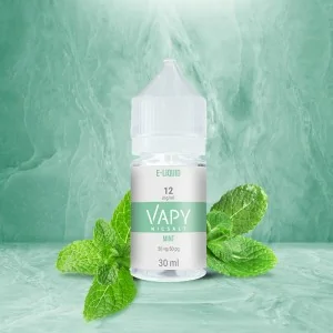 Nic Salt Vapy Mint 12mg E-liquid 30ML 50/50