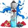 IVG Blueberg Burst Nicotine Salt E-Liquid – Voller Beerenglück!