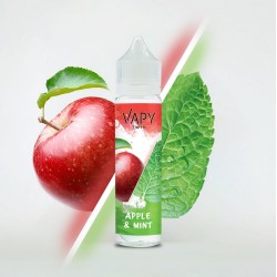 TWIN SALT-B Apple & Mint Nicotine Salt E-liquids of freshness