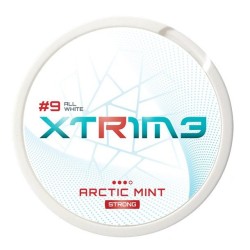 EXTREME ARCTIC MINT Nicotine Pouches Snus - Explore the Arctic Freshness