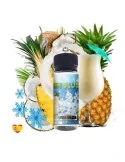 Brain Slush Pina Colada 100ml 0mg 70/30 E-liquid