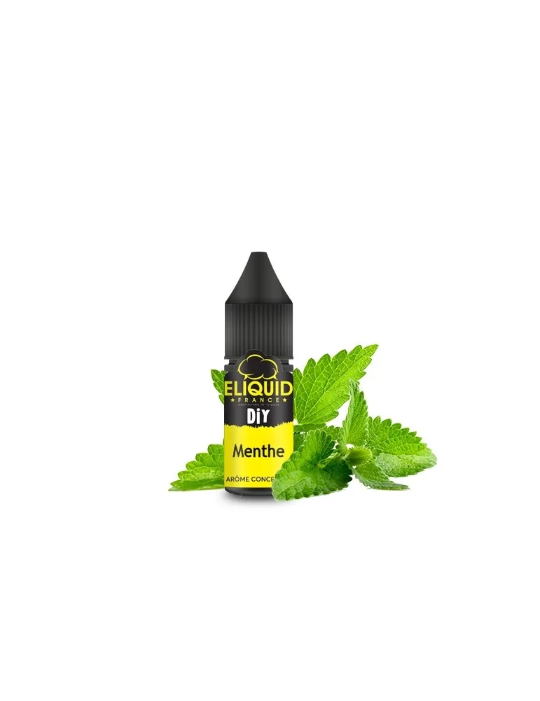 Concentrate Mint 10ml - Eliquid France