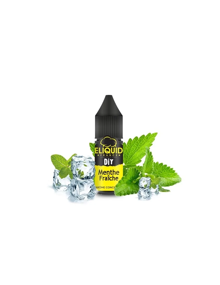 Concentrate Fresh Mint 10ml - Eliquid France