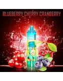 Tornado 15000 puffs Blueberry Cherry Cranberry 20mg - RandM Disposable Vape