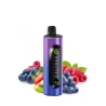 Elf bar Disposable Vape Kit 4 In 1 Purple Edition 20mg 3200 puffs