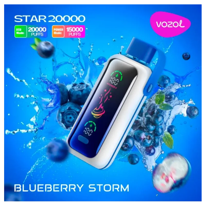 Vozol Star 20000 puffs Blueberry Storm 5% Disposable Vape