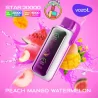 Vozol Star 20000 puffs Peach Mango Watermelon 5% Disposable Vape