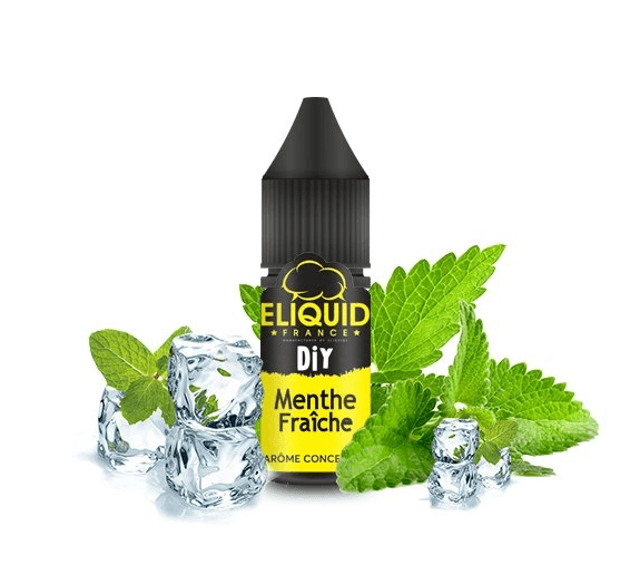Concentrate Fresh Mint 10ml - Eliquid France