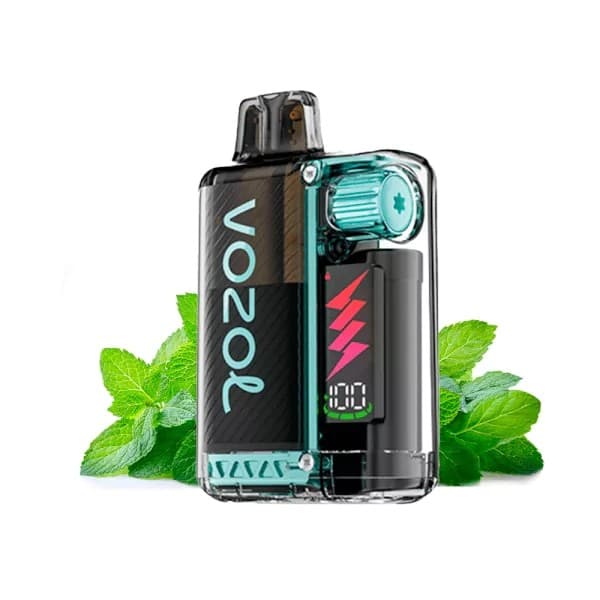 10000 puffs Vozol Vista Plug 2+10 Menta Fresca 20mg Disposable Vape