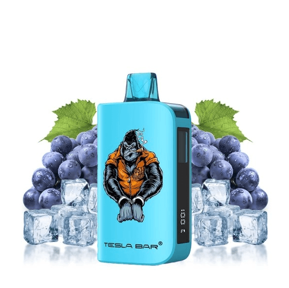 Disposable Vape Grape Ice 20mg 10000 puffs Tesla Bar