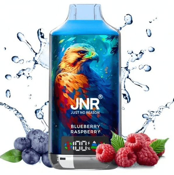 JNR Falcon Bar 48000 puffs 20mg Blueberry Raspberry Disposable Vape